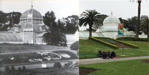 childrenconservatoryuse