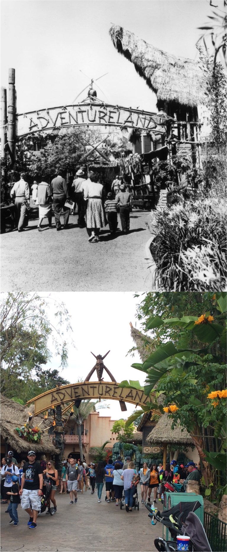 Adventurelandblogusethis