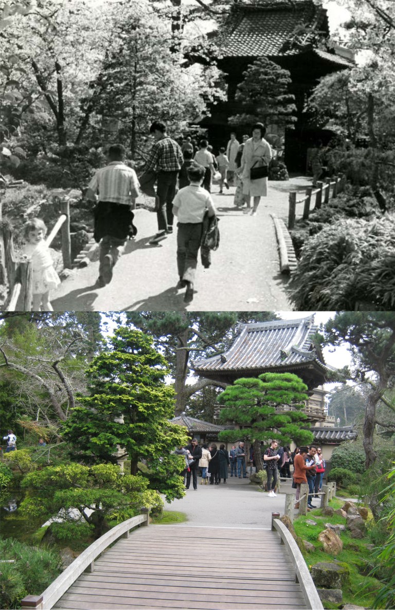 PracticeTeaGarden1966