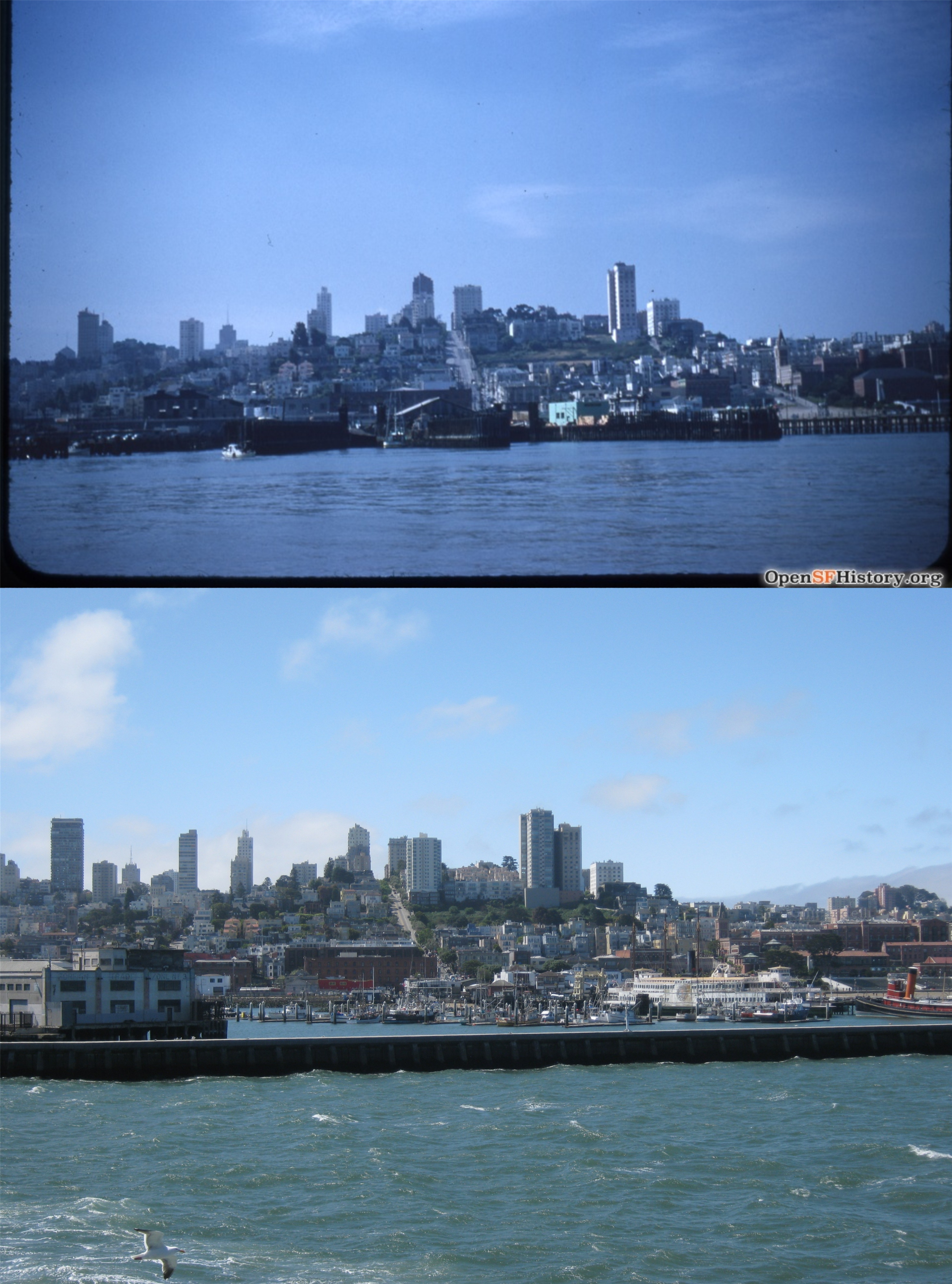 CtuiseRussianHilluse