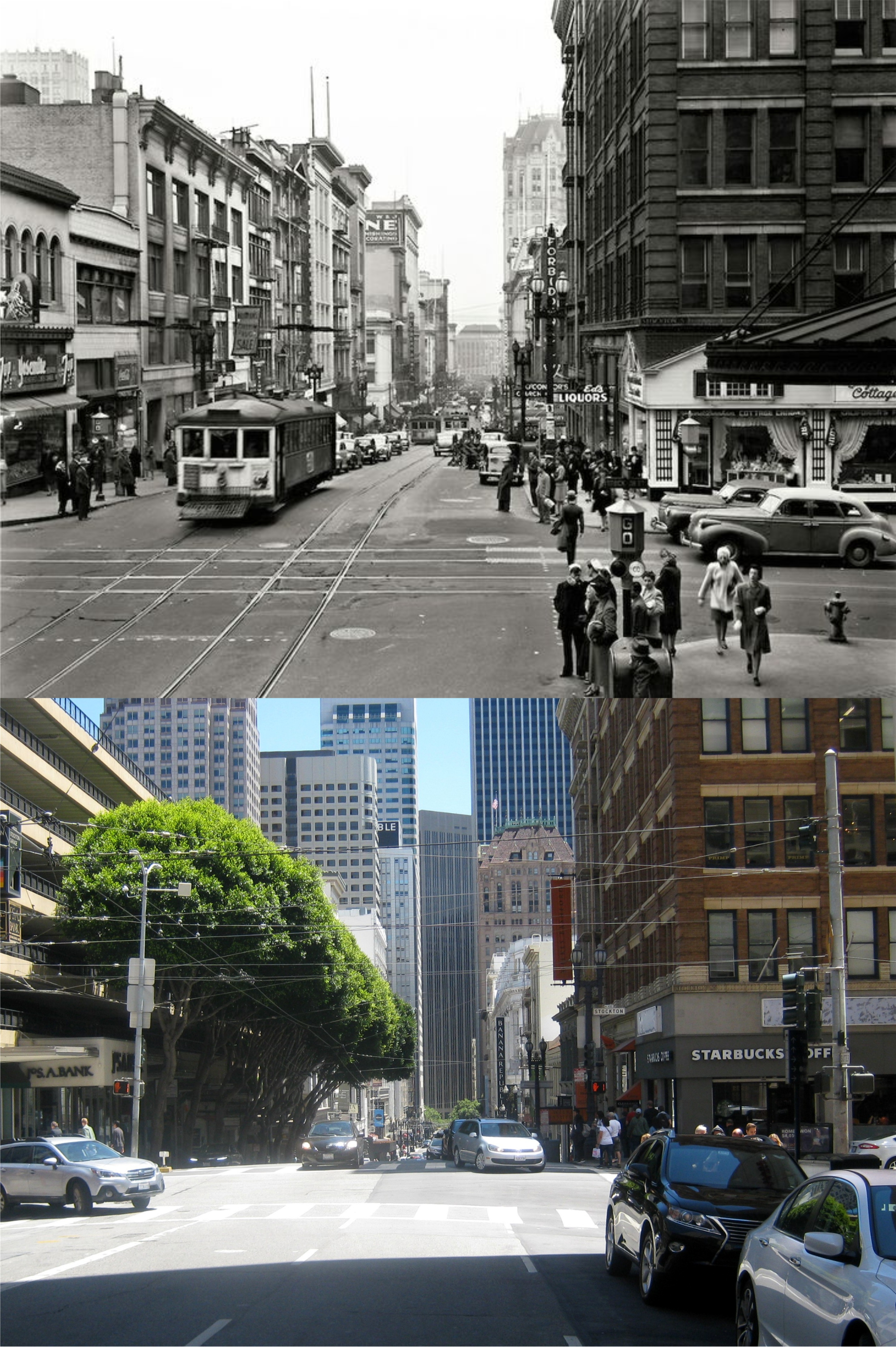 MotionStocktonSutteruse