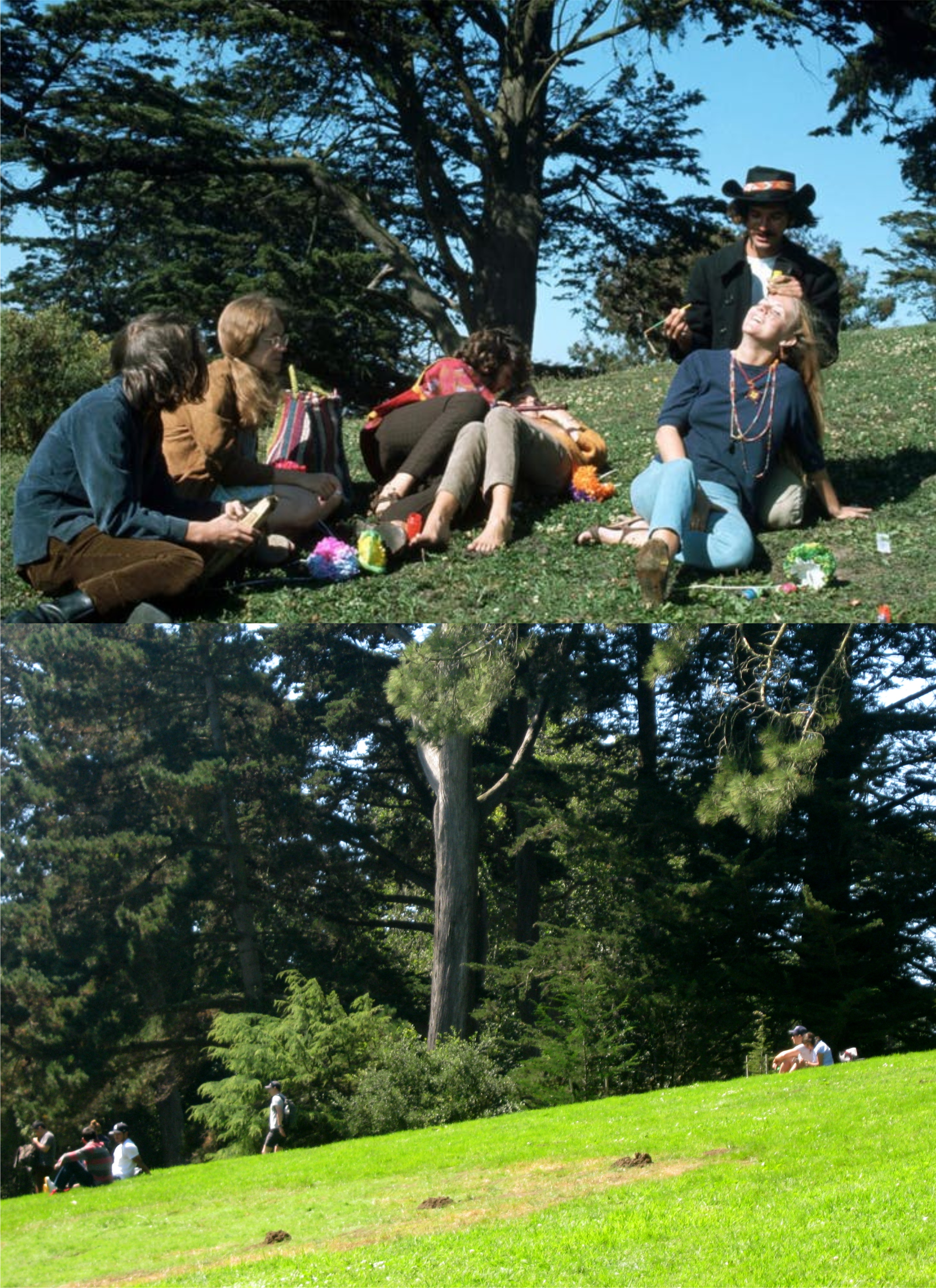 SummerHippiehill1use