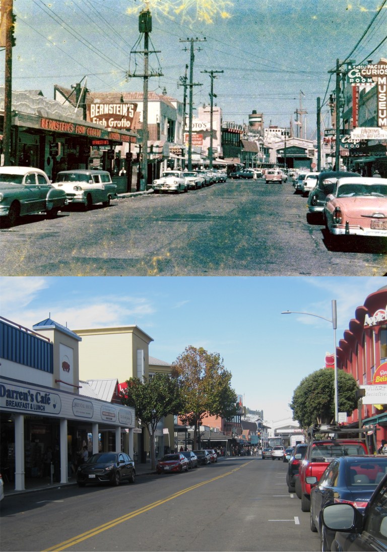 WharfTaylorNPointuse